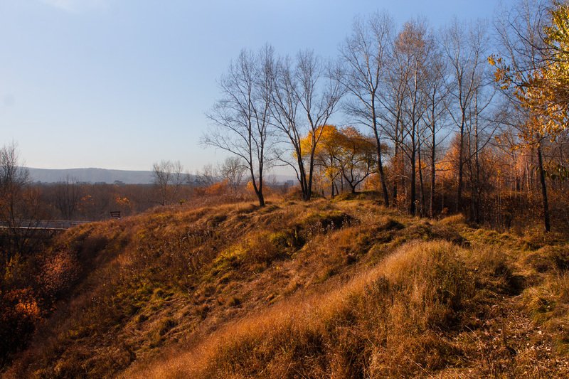 осень, октябрь Осенние краски фото превью
