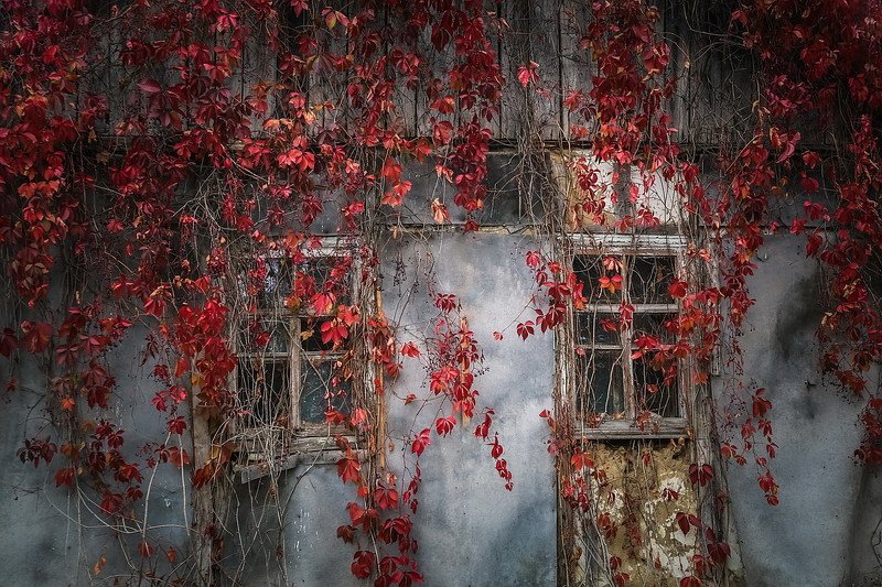 Тепло души осталось там... фото превью