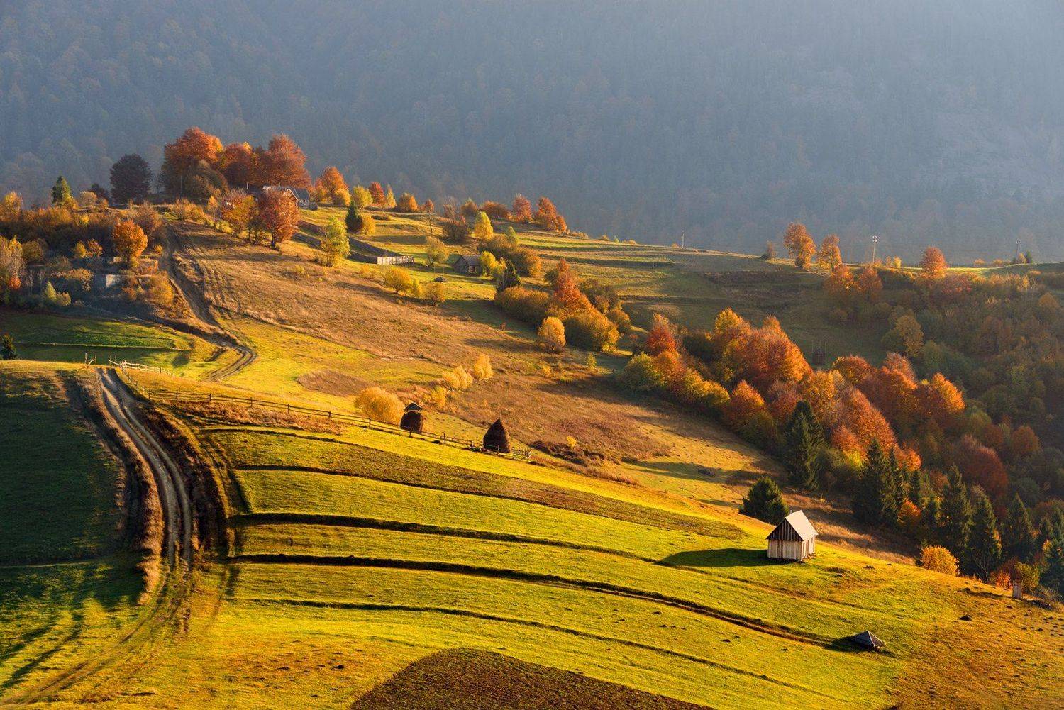 , Крицак Ольга