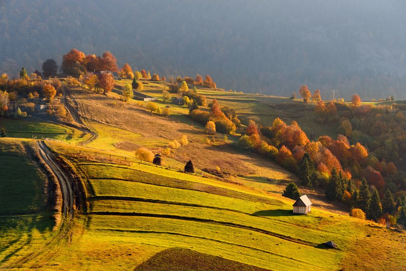 Тёплый свет золотой осени фото превью