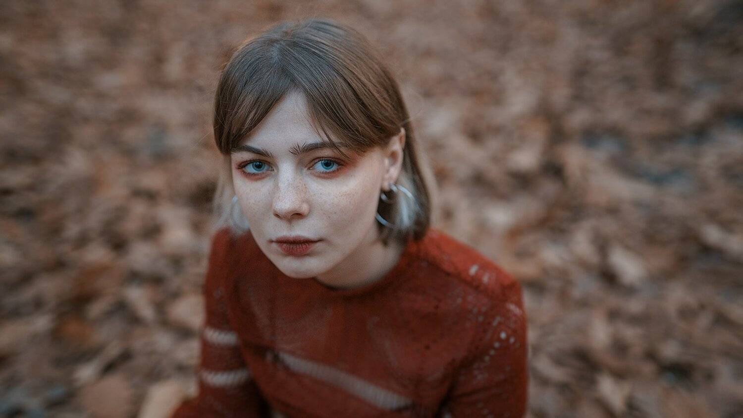 , Владимир Осауленко