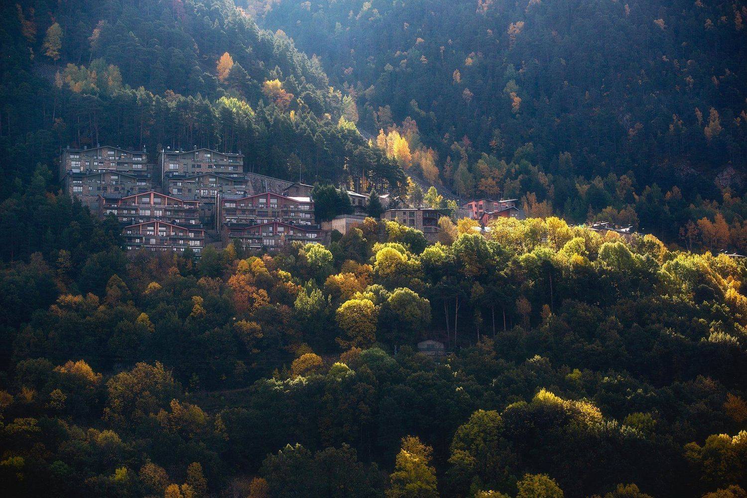 , Рашид Усманов