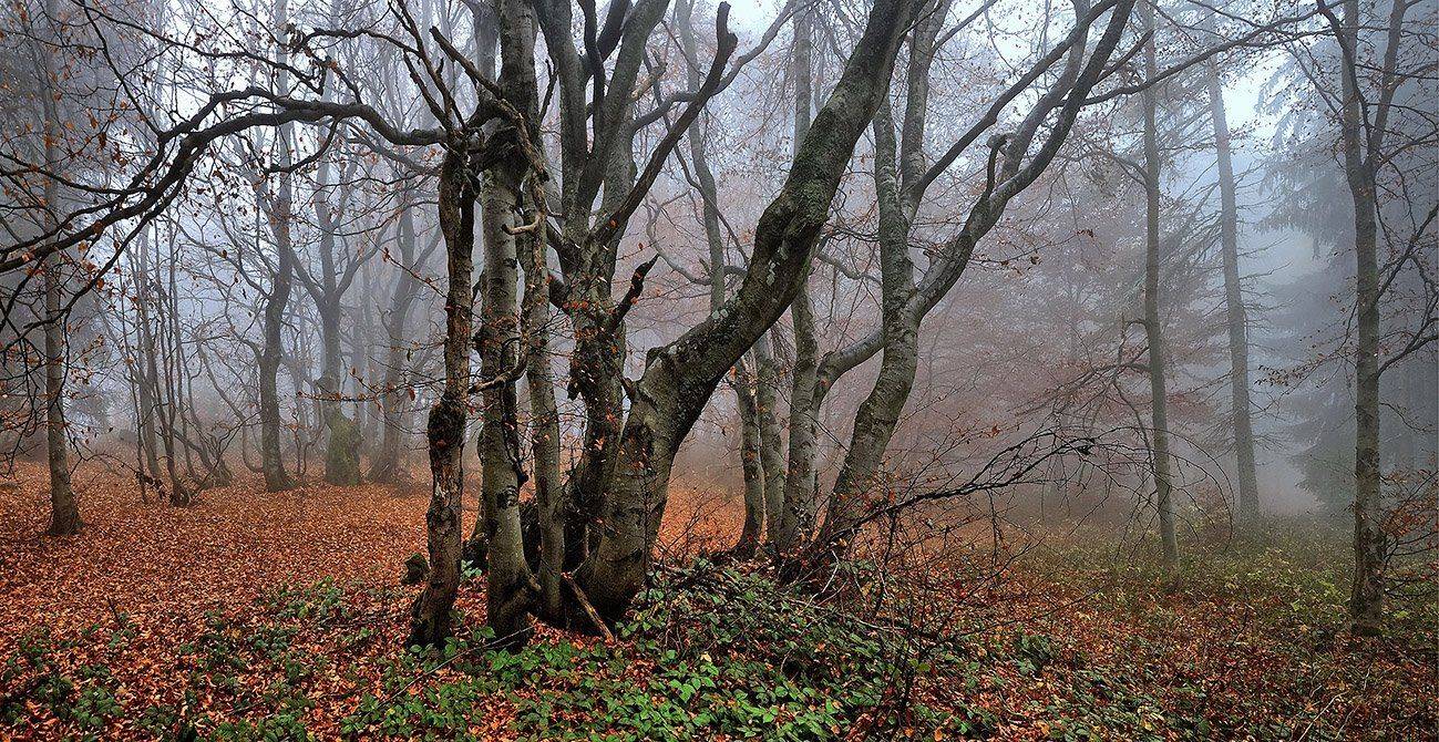 южный, урал, губерля орск, новотроицк, Качурин Алексей