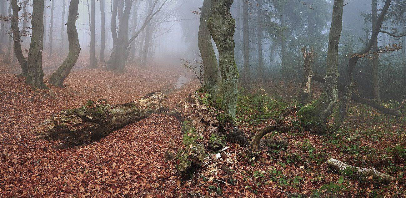 южный, урал, губерля орск, новотроицк, Качурин Алексей