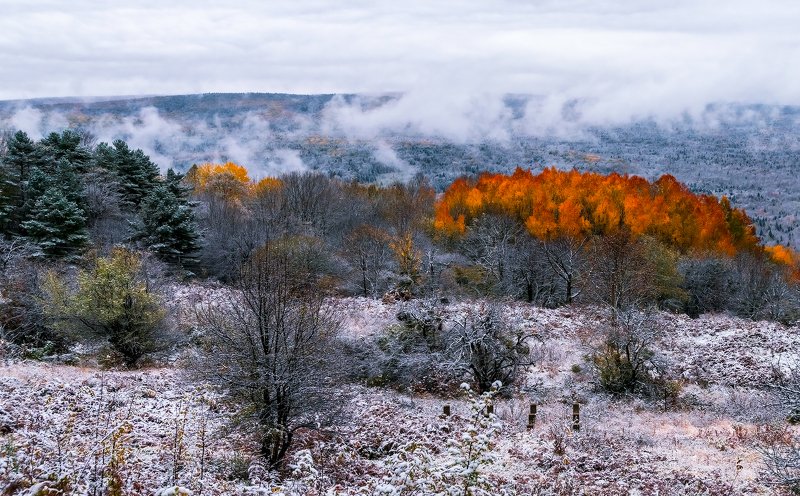 *** фото превью