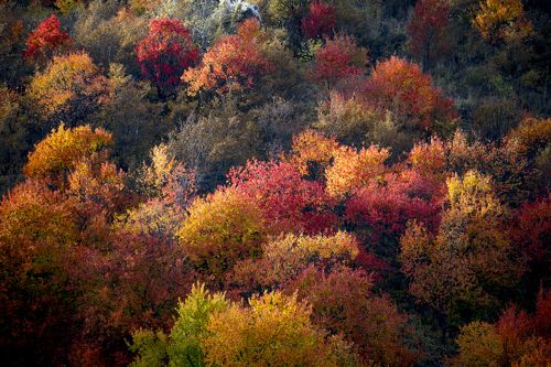 Осень в Северном Тянь-Шане