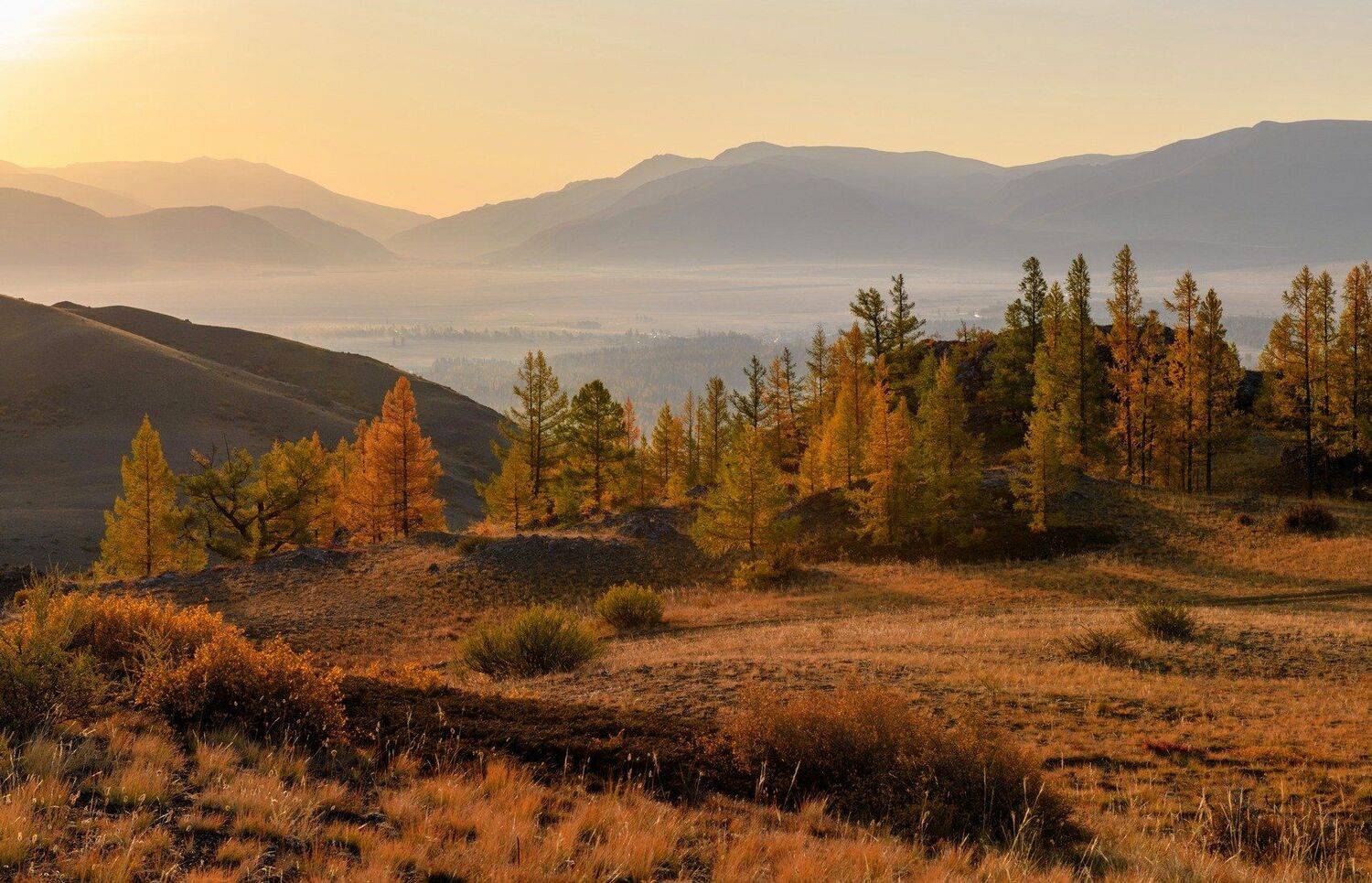 алтай, курайская степь, раннее утро. рассвет.осень., Марина Фомина