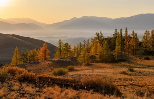 Первые лучи в Курайской степи.