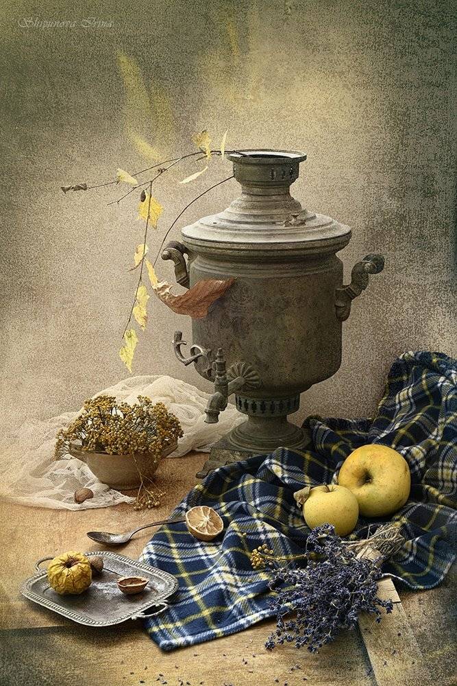 , Шипунова Ирина