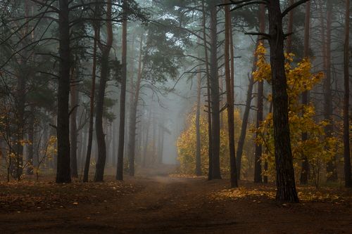 Загадочеая грусть