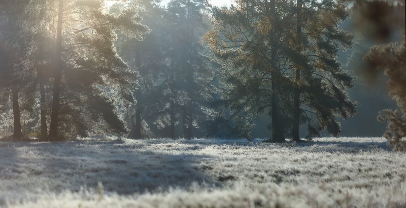 павловскийпарк, павловск, рассвет, павловский парк Окошко в сказку) фото превью