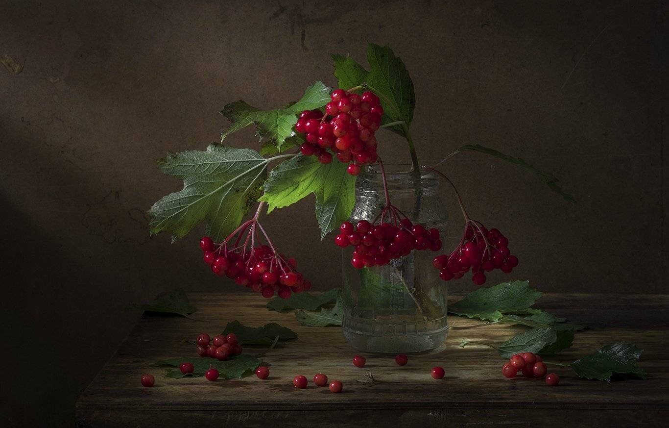 , Елена Рубинская