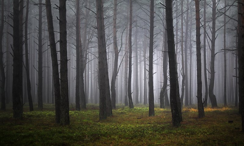 ... фото превью