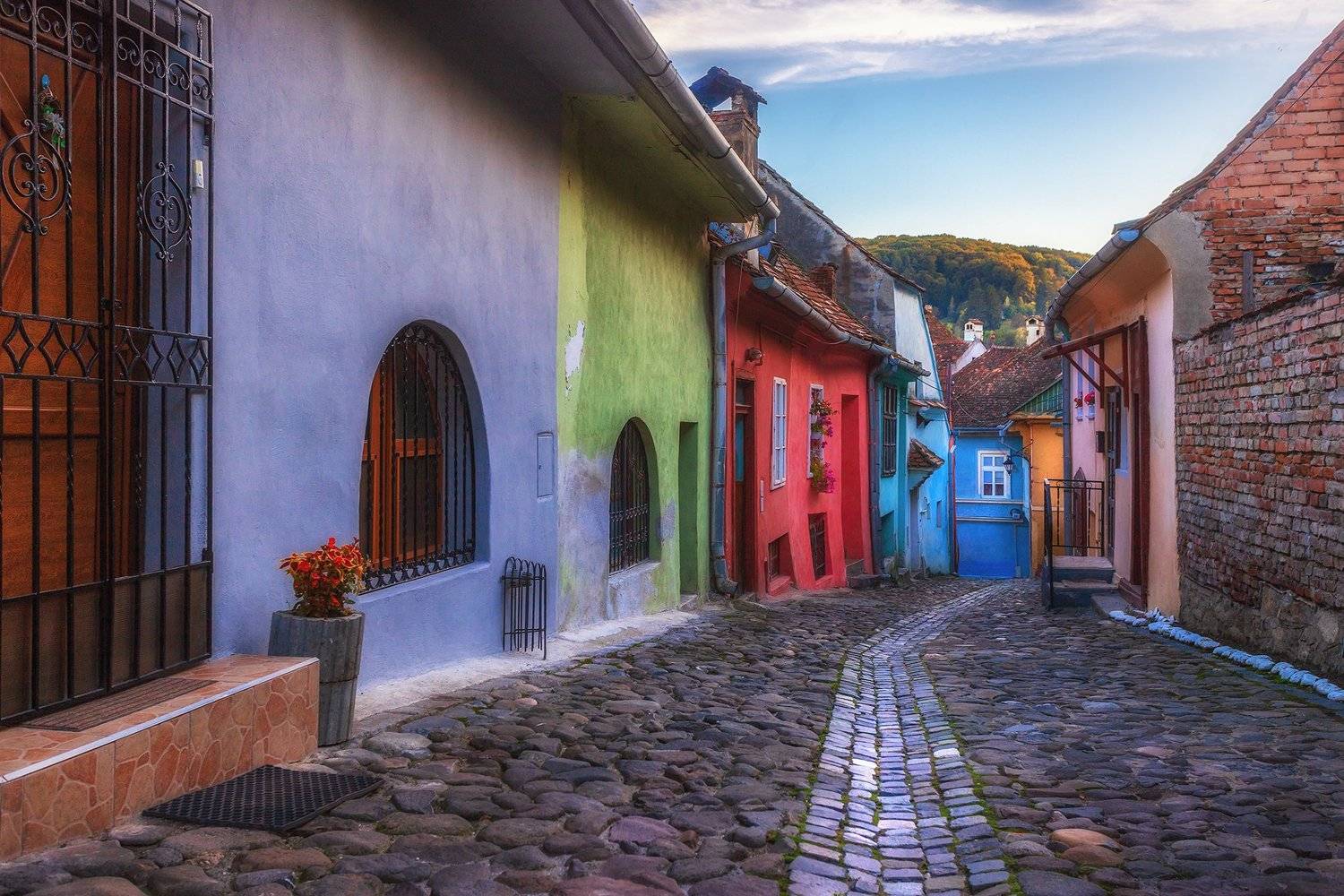 , Елена Маковоз