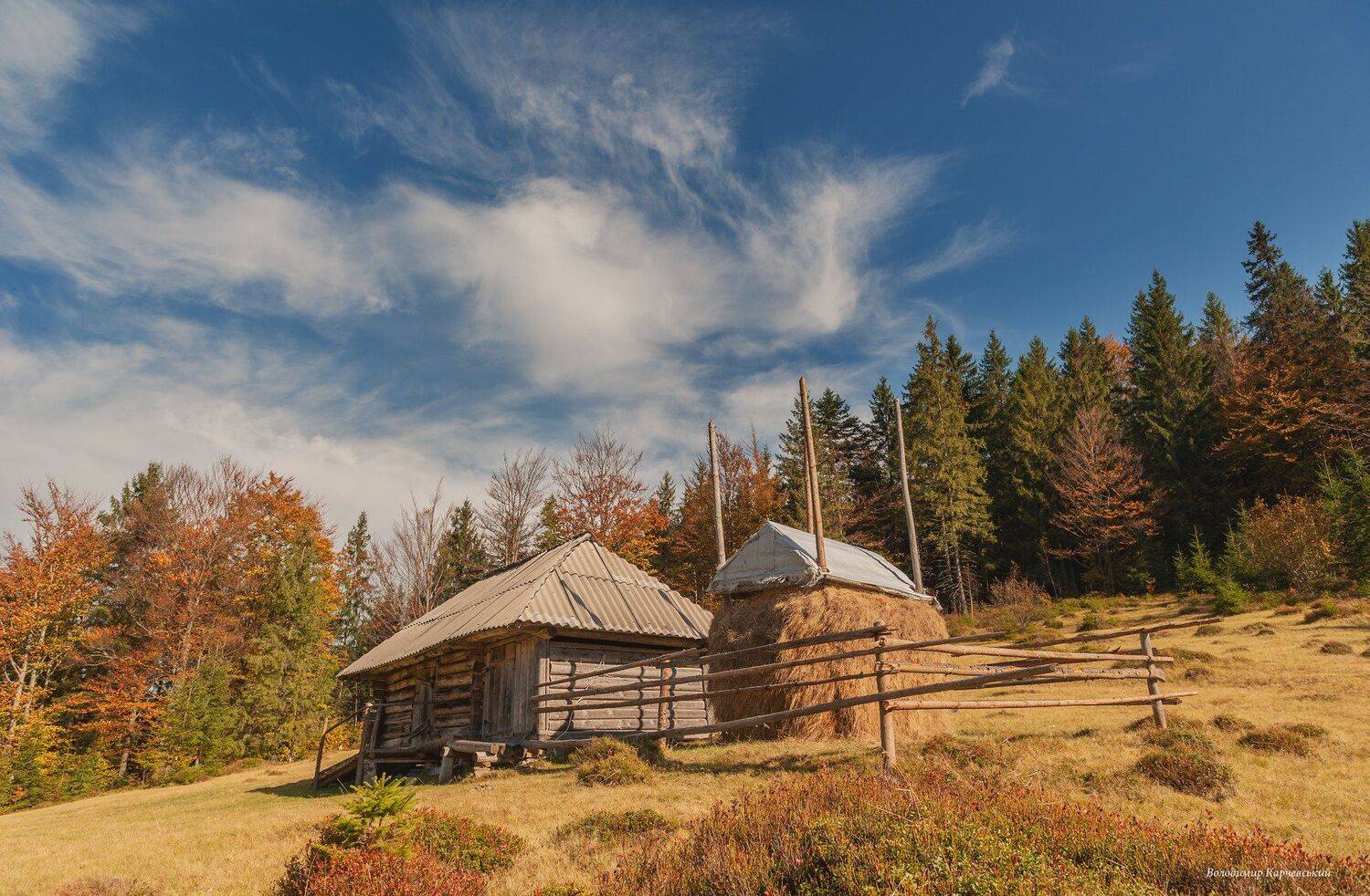 , Володимир Карчевський