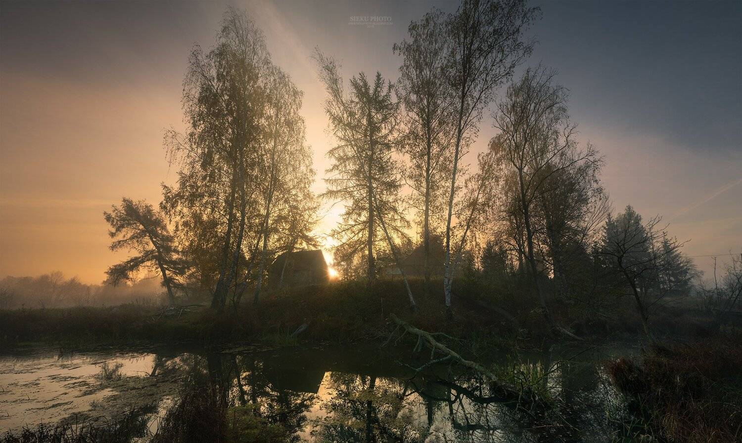 Foggy . Автор: Sieku Łukasz , Sieku Łukasz