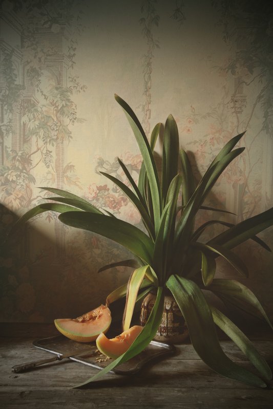 Still life with melon фото превью