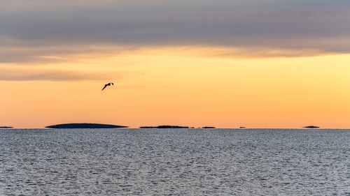 Летучие острова.