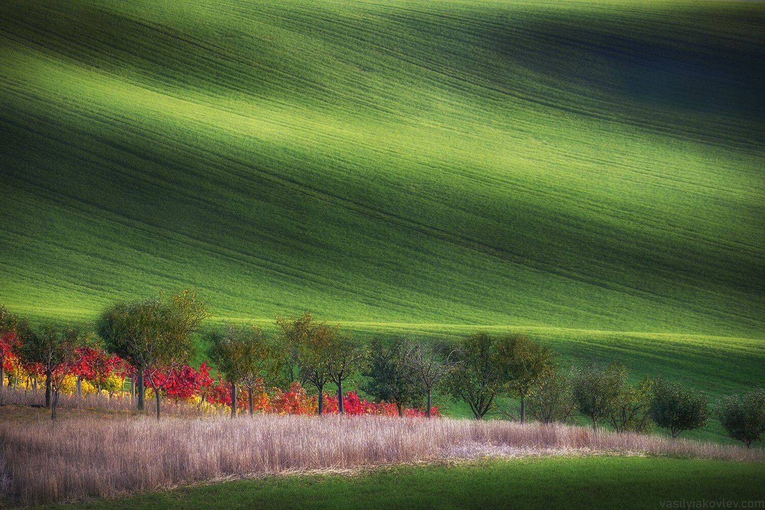 моравия, чехия, осень, Василий Яковлев