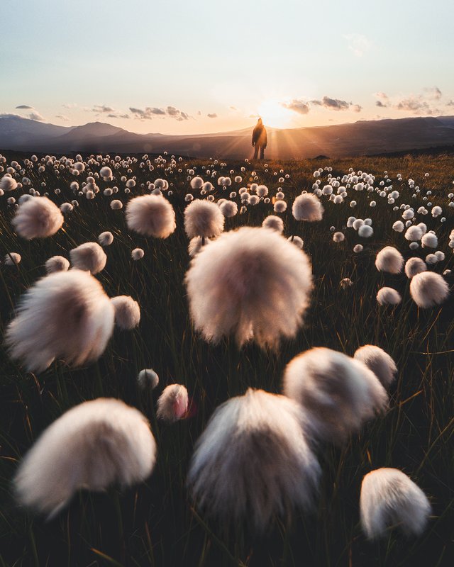 Хабиб и его команда в  папахах фото превью