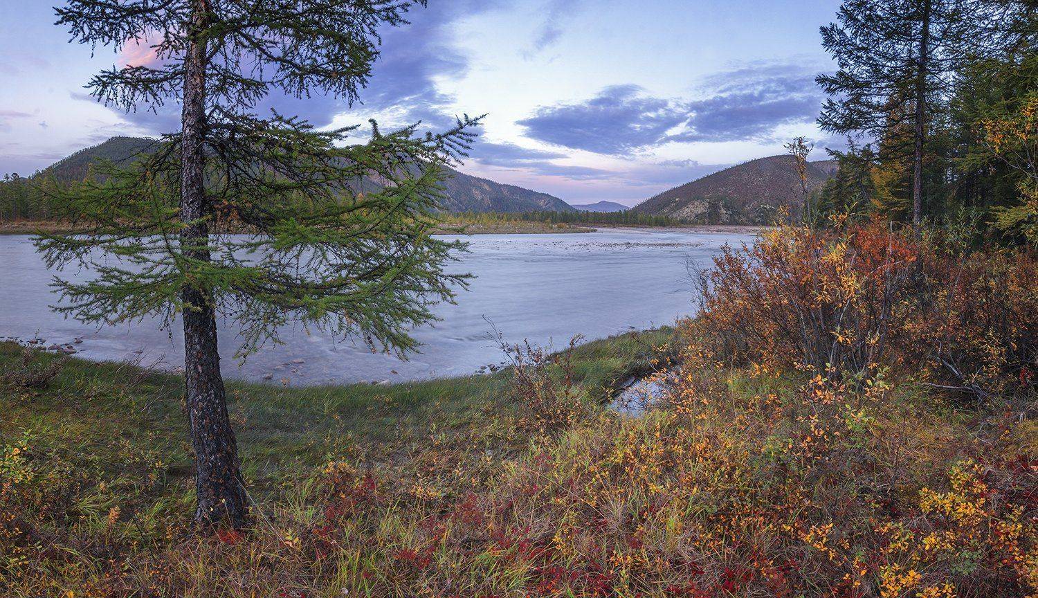 , Николай Андреев