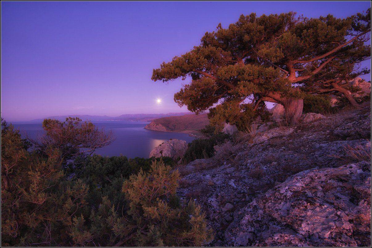 крым, новый свет, утро, луна, море, АНАТОЛИЙ ДОВЫДЕНКО