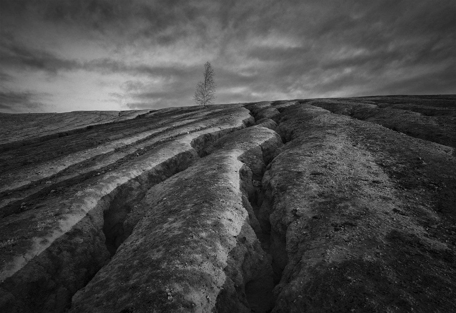 , Анатолий Зверев