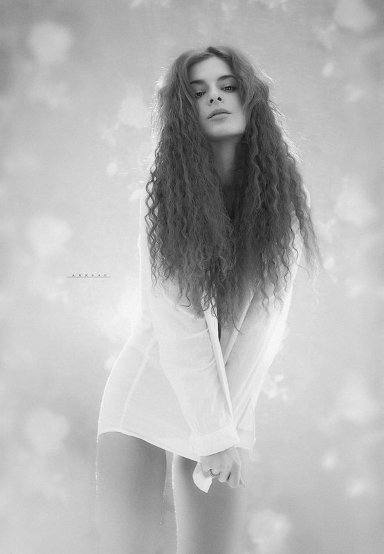 arksaf, safark, arks *** фото превью