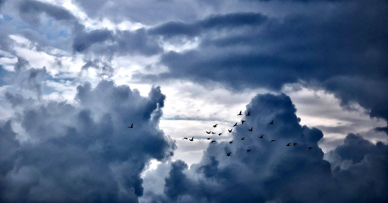 южный, урал, губерля орск, новотроицк, Качурин Алексей