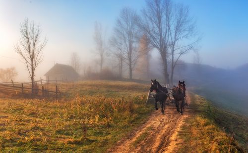 Закарпатье