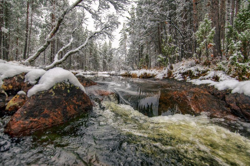 Лесной ручей фото превью