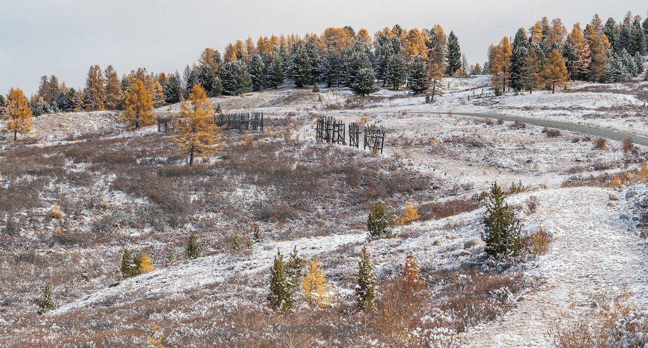 , Константин Дэм