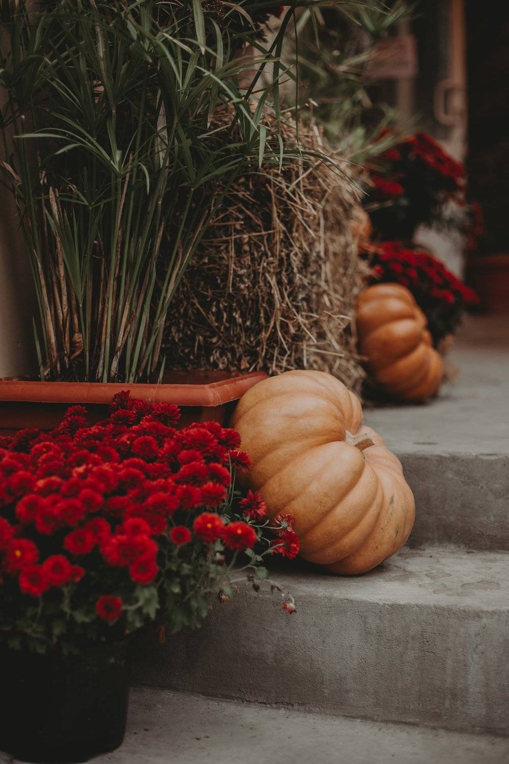 , Екатерина Аляпина