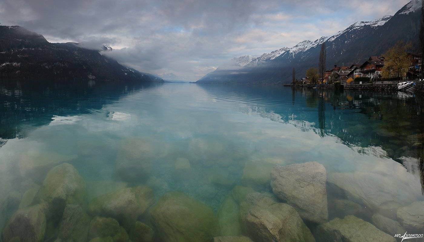 swiss, Матвеев Николай