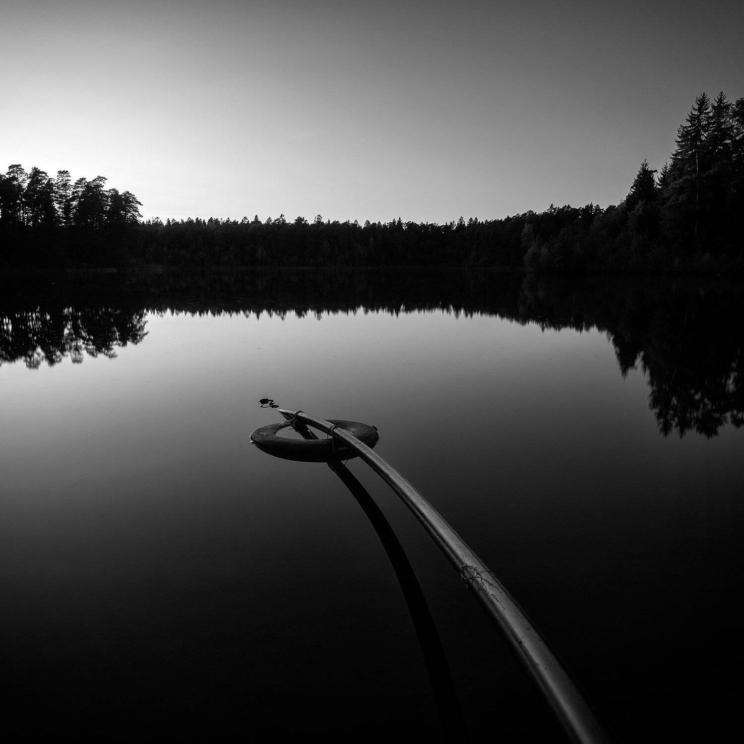 , Федотов Антон