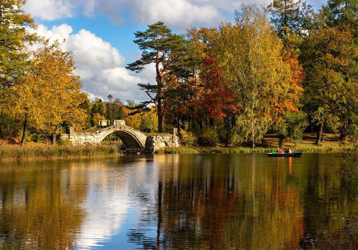 , Алексей Герасимов