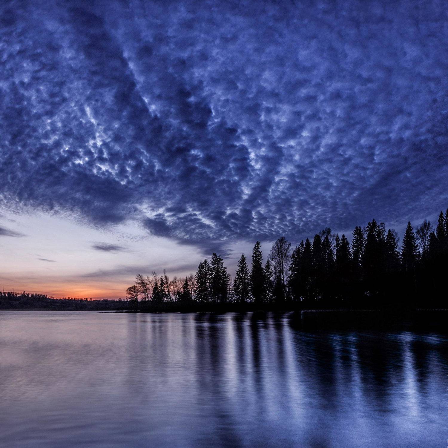 валдай, Тимофей Шутов