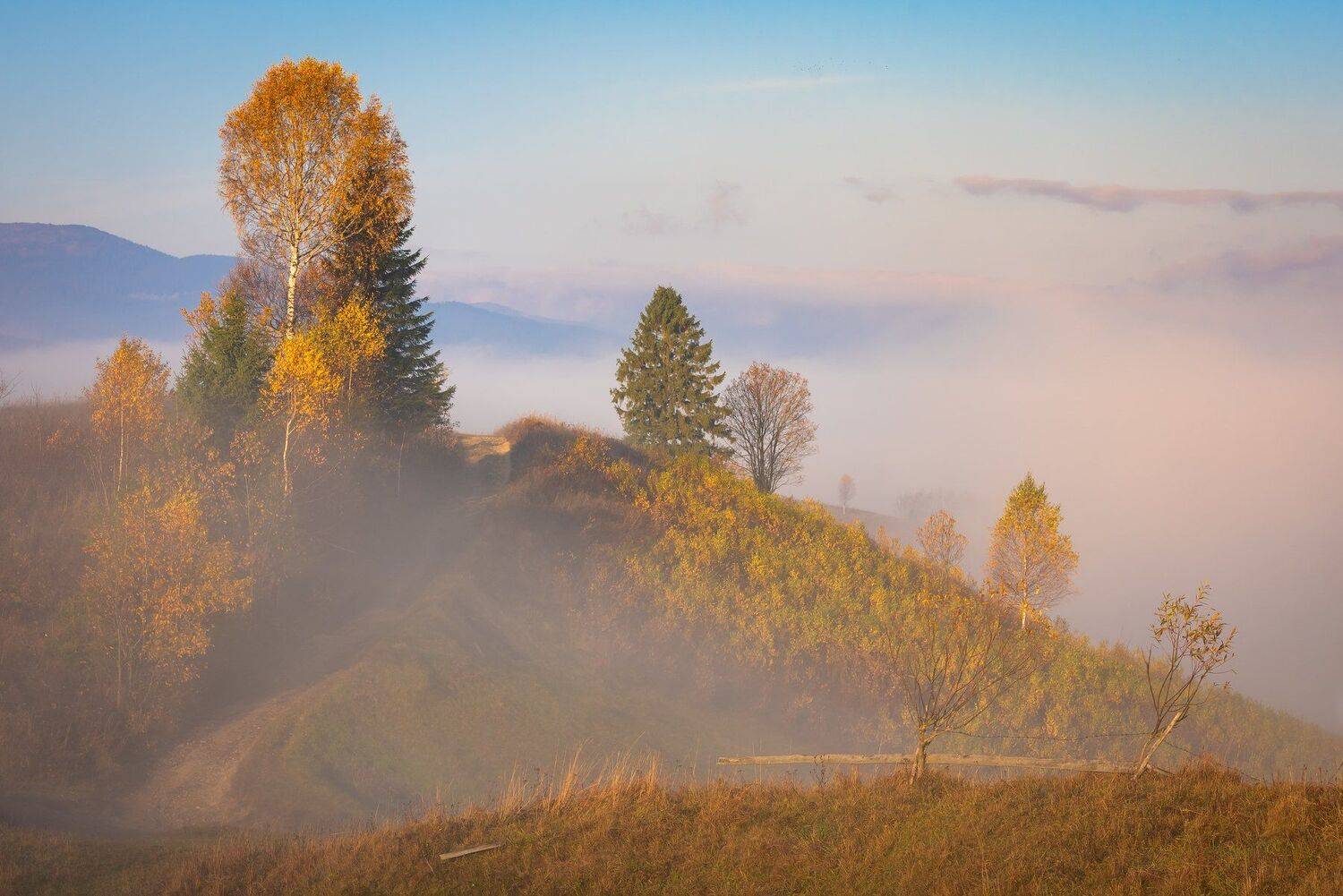 карпаты., осень., туман., рассвет, Татьяна Степанова