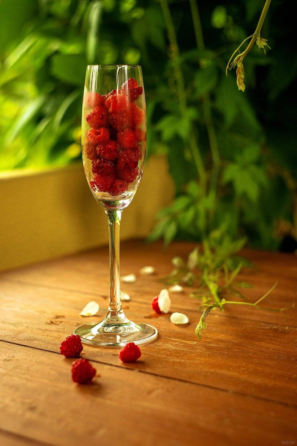 , Рут Андрей