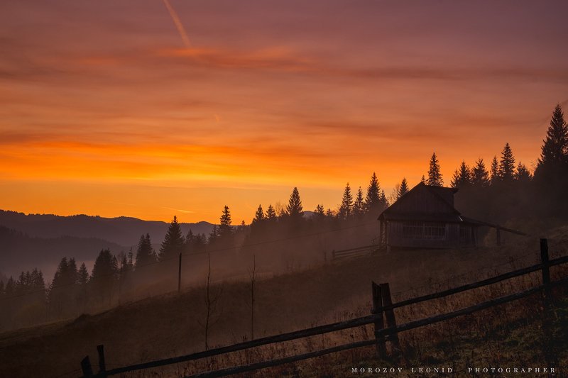 #landscape, #nature, #scenery, #forest, #wood, #autumn, #mist, #misty, #fog, #foggy, #river, #waterfall, #longexposure, #mountain, #vitosha, #bulgari, #aтуман, #лес, #oсень #горы *** фото превью