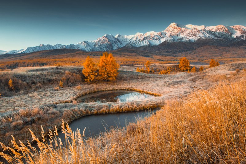 утро, рассвет Утро, рассвет, Алтай, горы фото превью
