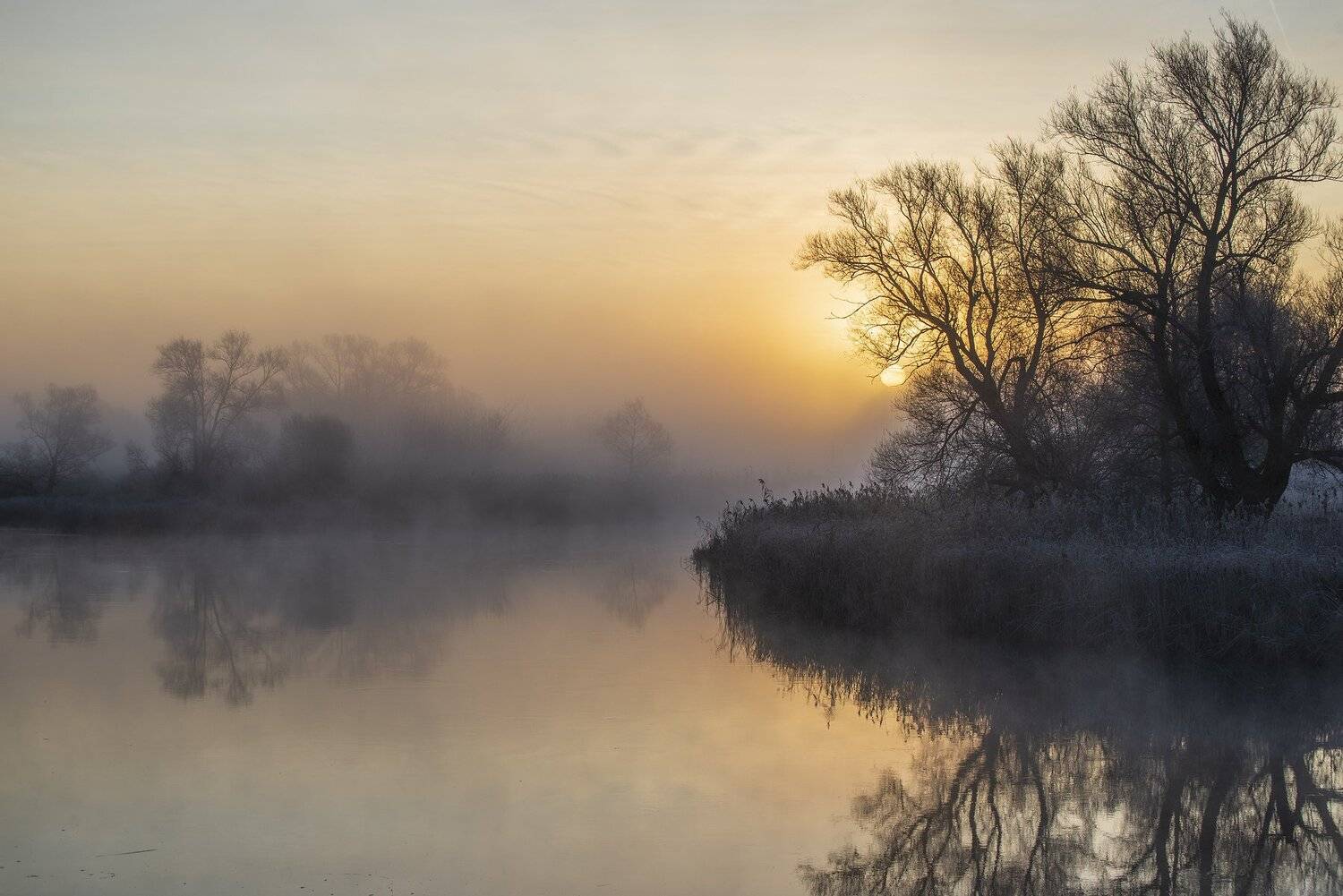 , Дмитрий Новоселов