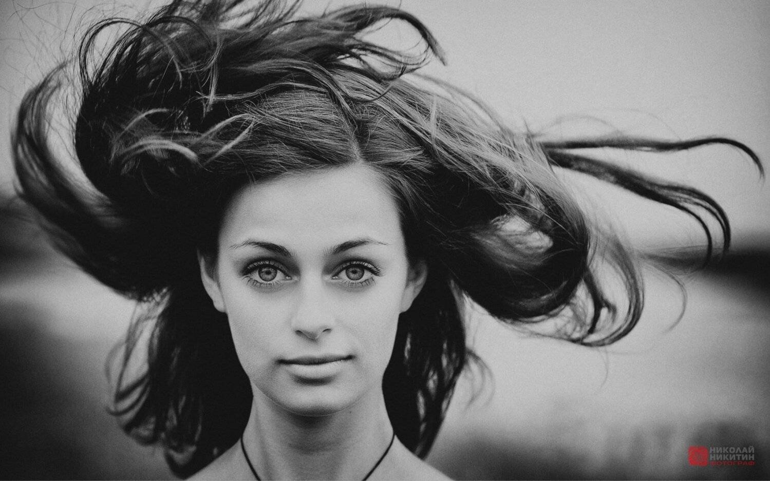 , Никитин Николай