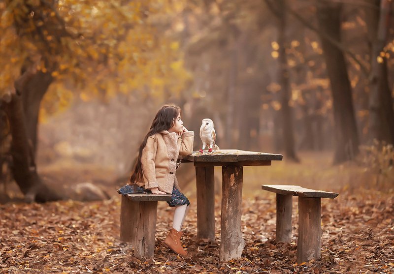 В лесу фото превью