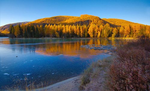 Осень на Аргуте