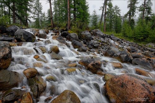 Самая короткая река в мире