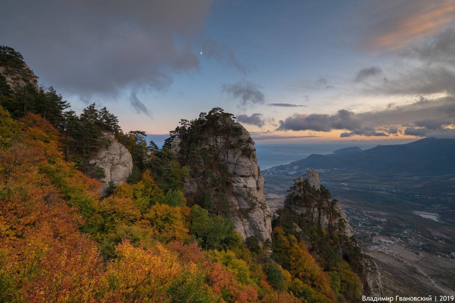 , Гвановский Владимир