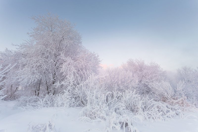 Холод фото превью