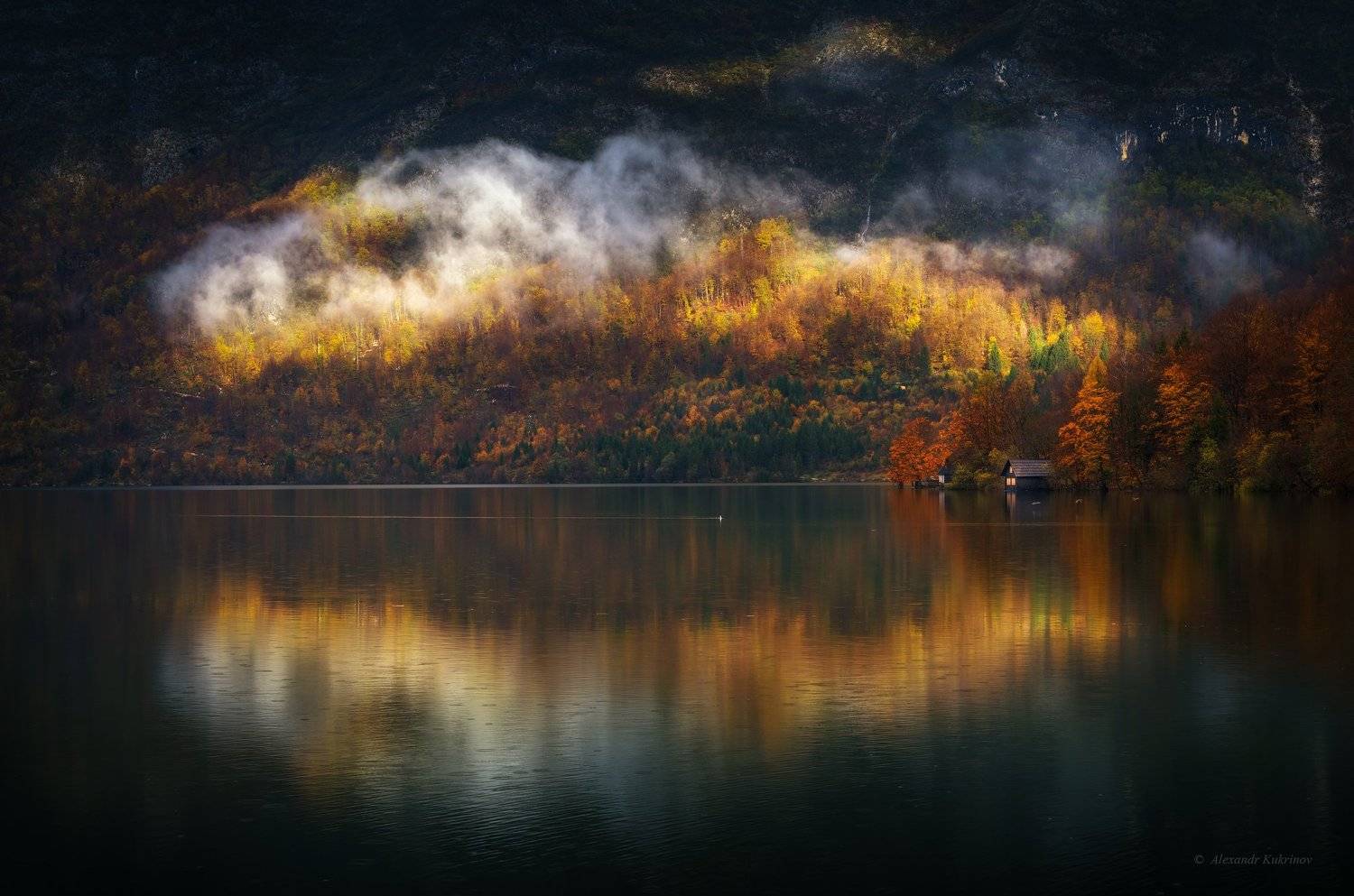 словения, осень, туман, пейзаж, утро, бохинь, Александр Кукринов