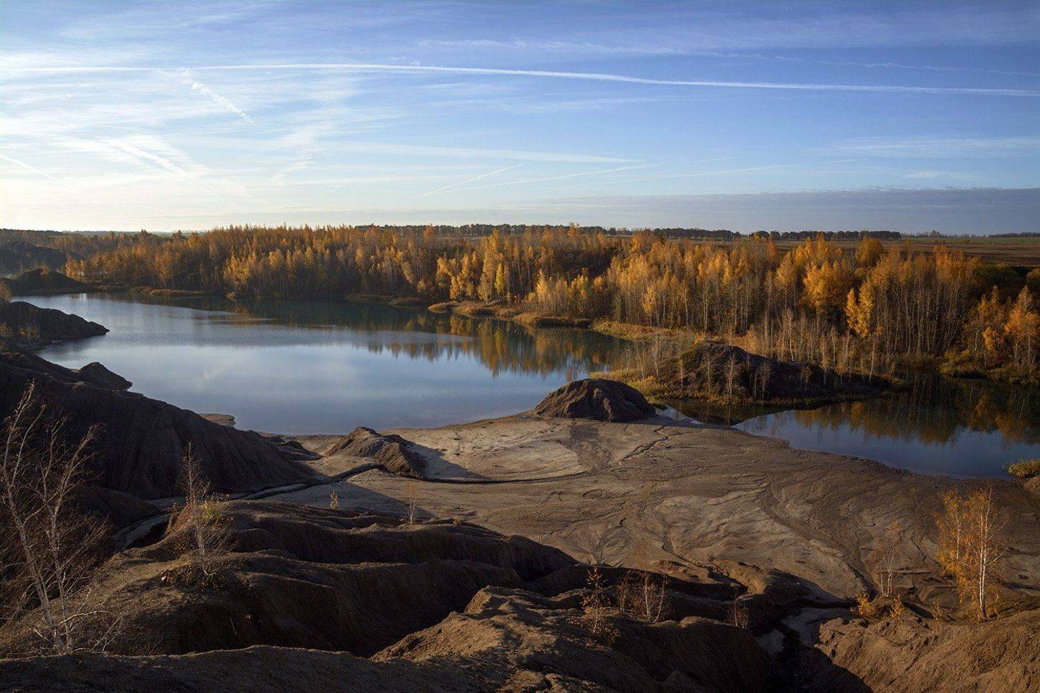 , Анатолий Зверев